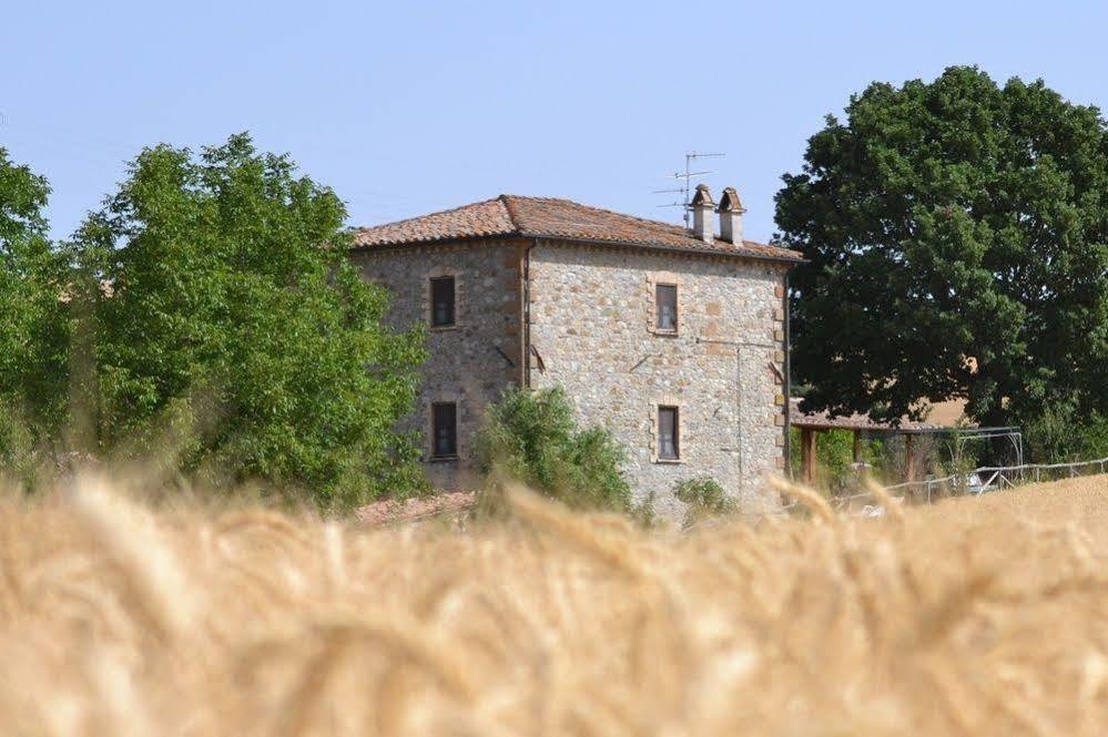 Agriturismo Le Spighe Proceno Экстерьер фото